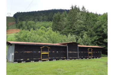 Rucher chalet de montagne traditionnel Alsacien dans les Vosges du Bas-Rhin