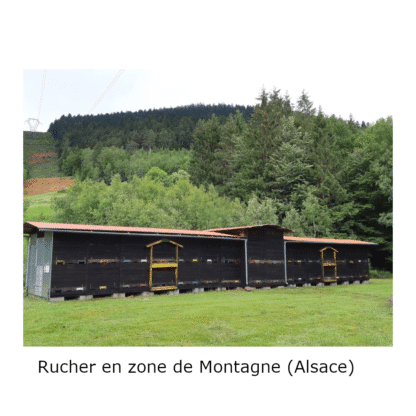 Rucher chalet de montagne traditionnel Alsacien dans les Vosges du Bas-Rhin
